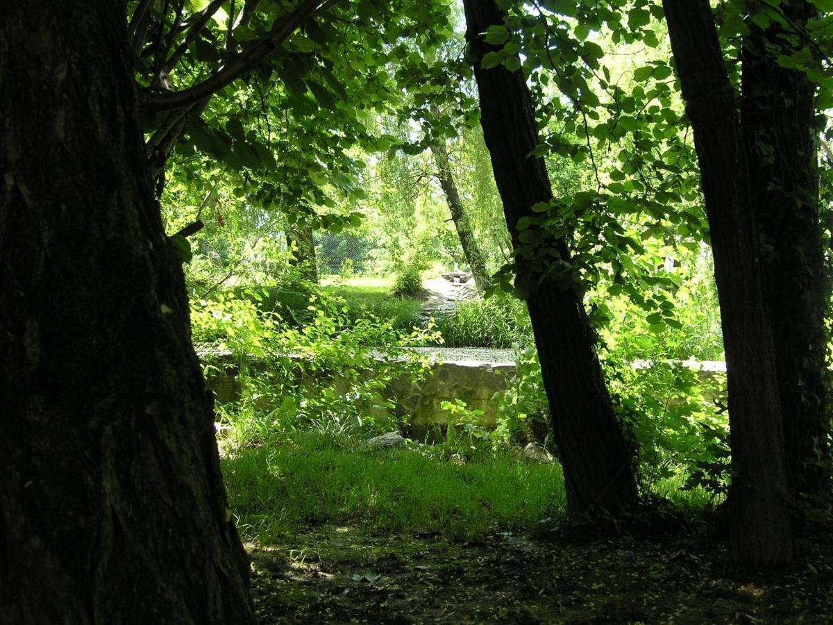 Forest Art Villa Zagreb Sveta Nedjelja  Exterior foto